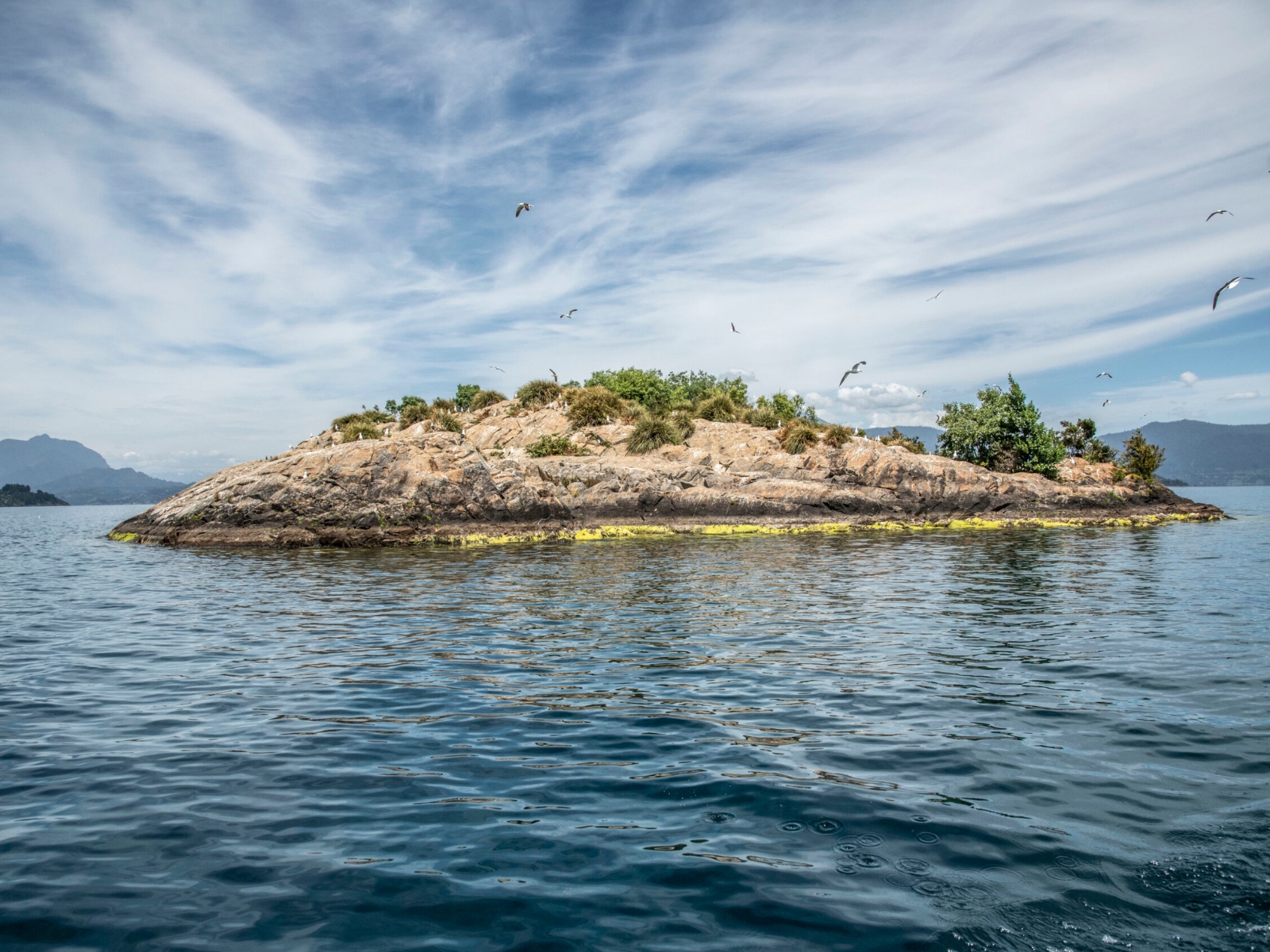 Isla Huapi — Territorio Williche