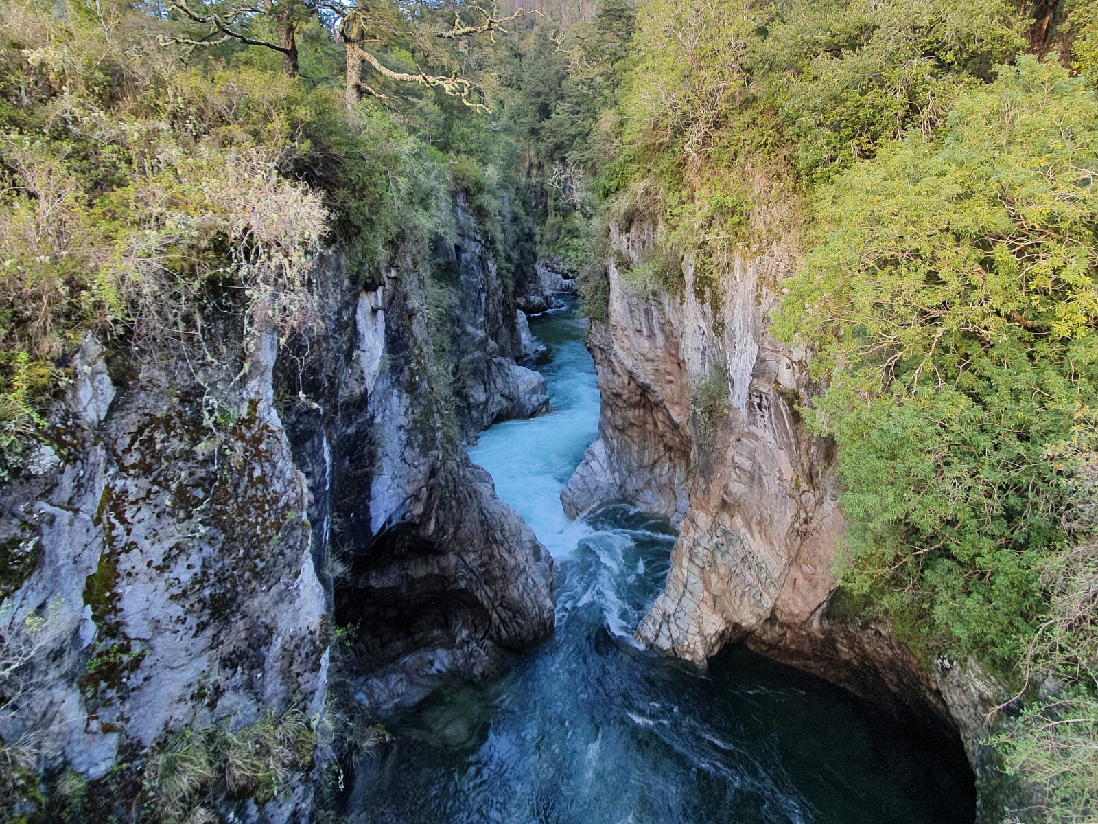 Sendero Río Caunahue